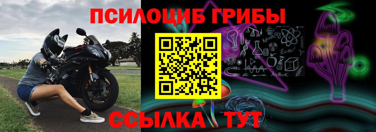 Галлюциногенные грибы Cubensis Евпатория